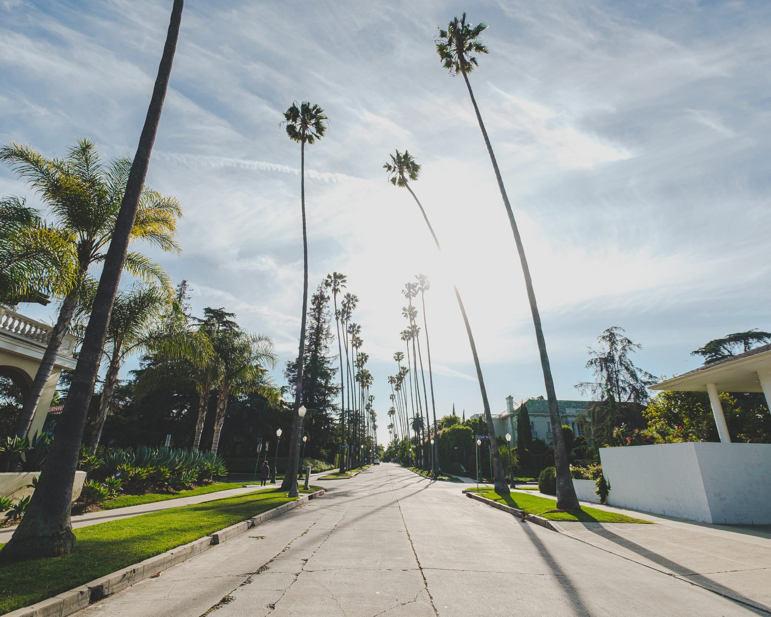 A road in the middle of buildings and palm trees under a blue cloudy sky